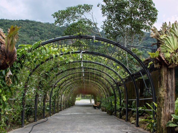 Refarm, Kampar, PERAK