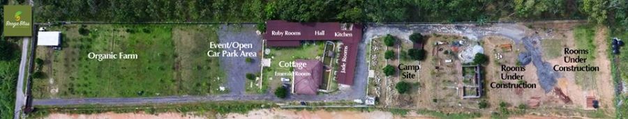 broga top view